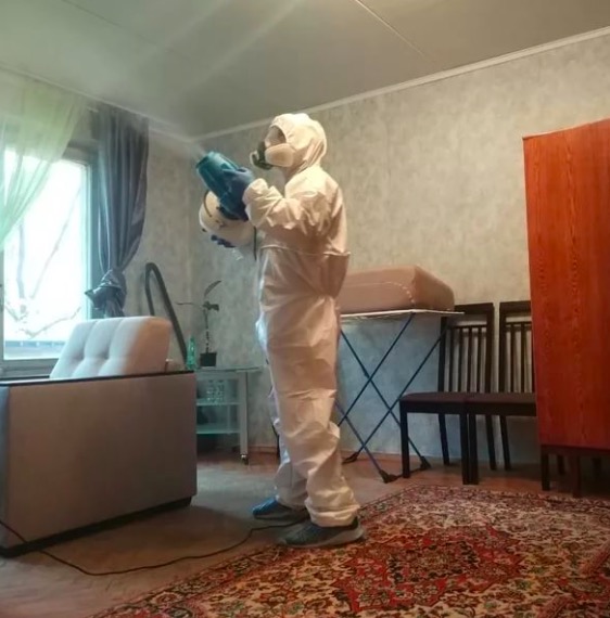 дезинсекция квартиры в Железногорске